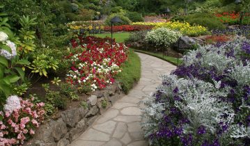 Beautiful gardens with colorful flowers