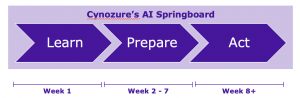 Cynzoure's AI Springboard