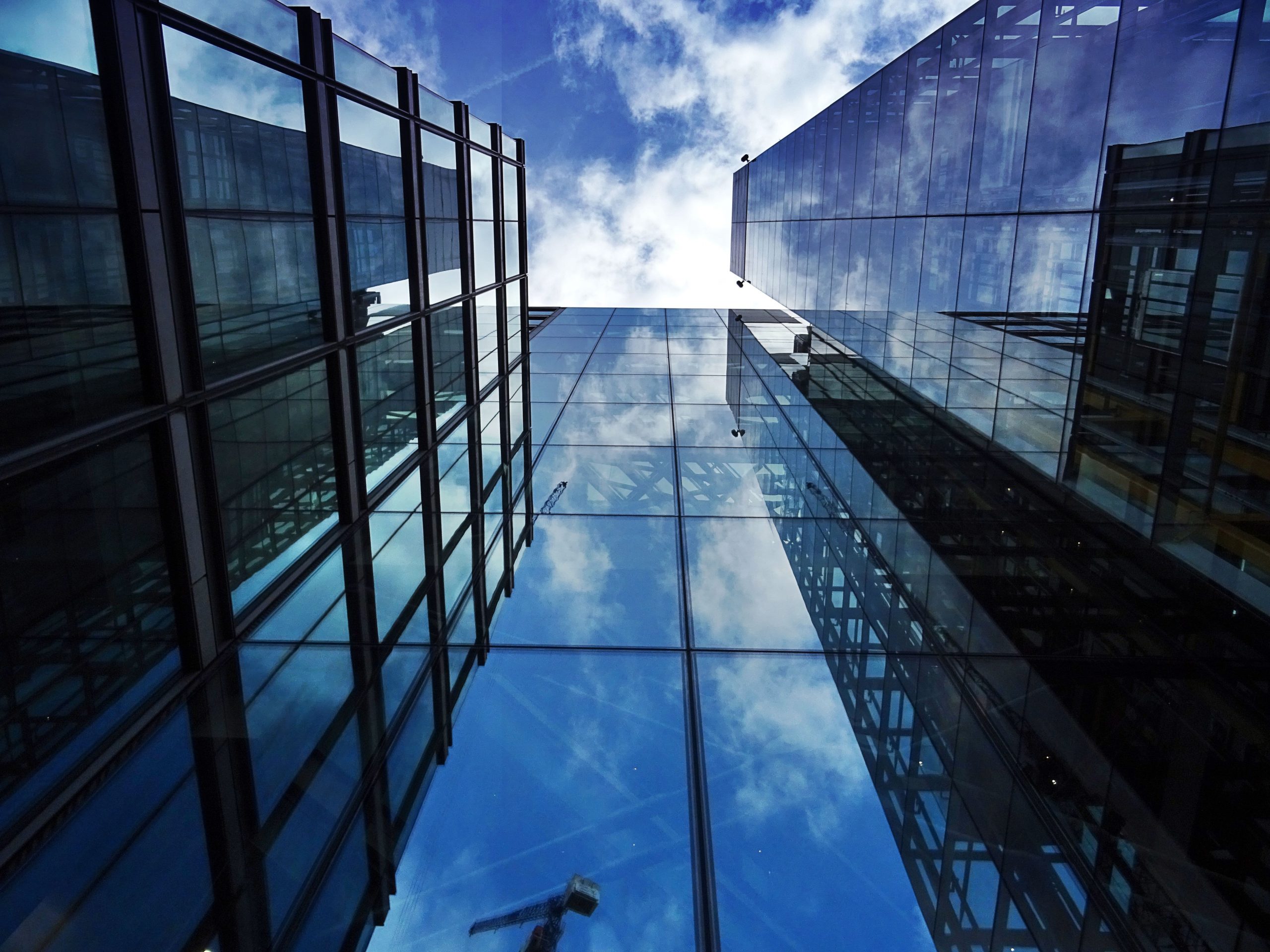 strong data leadership