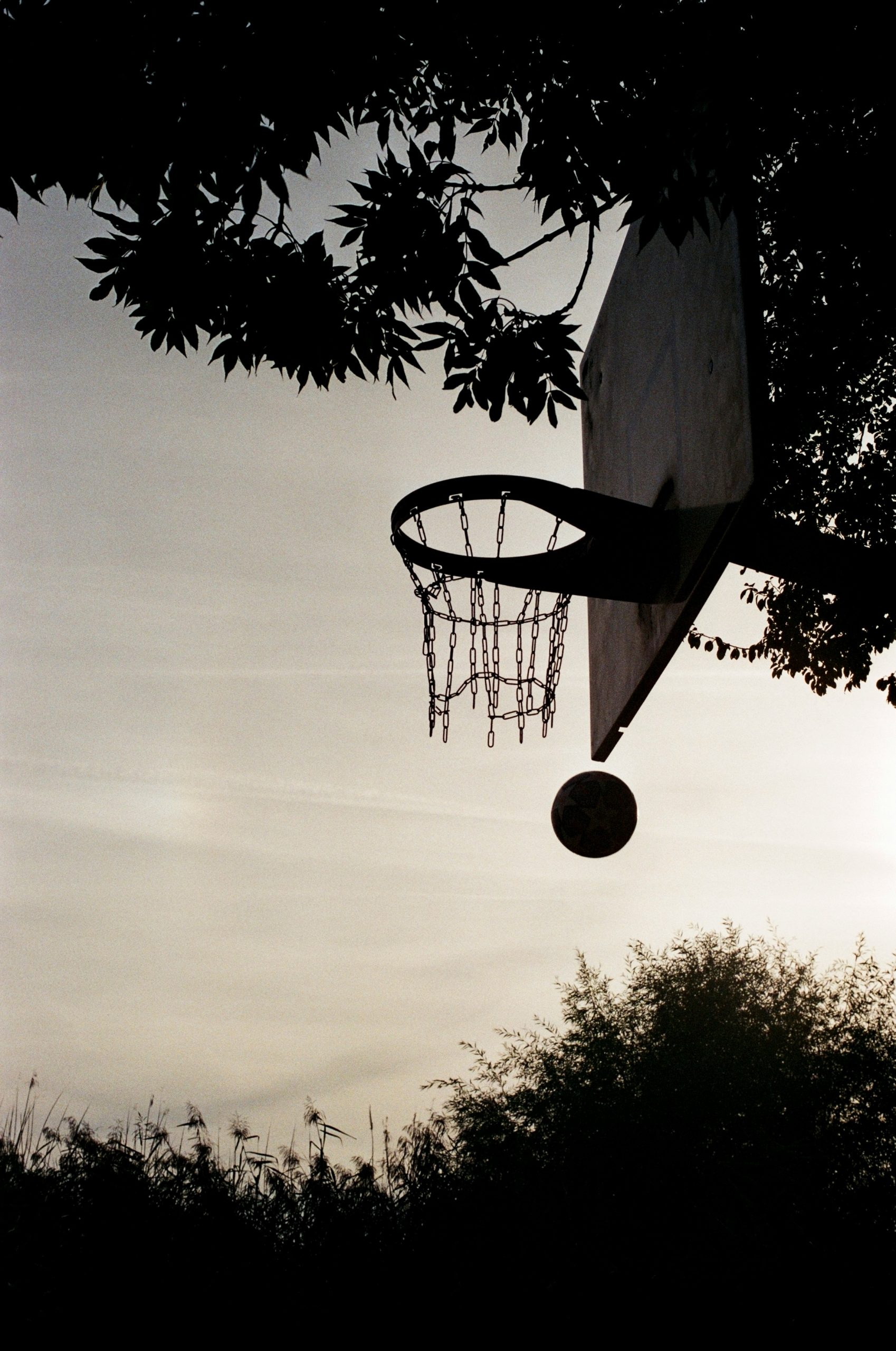 basketball hoop