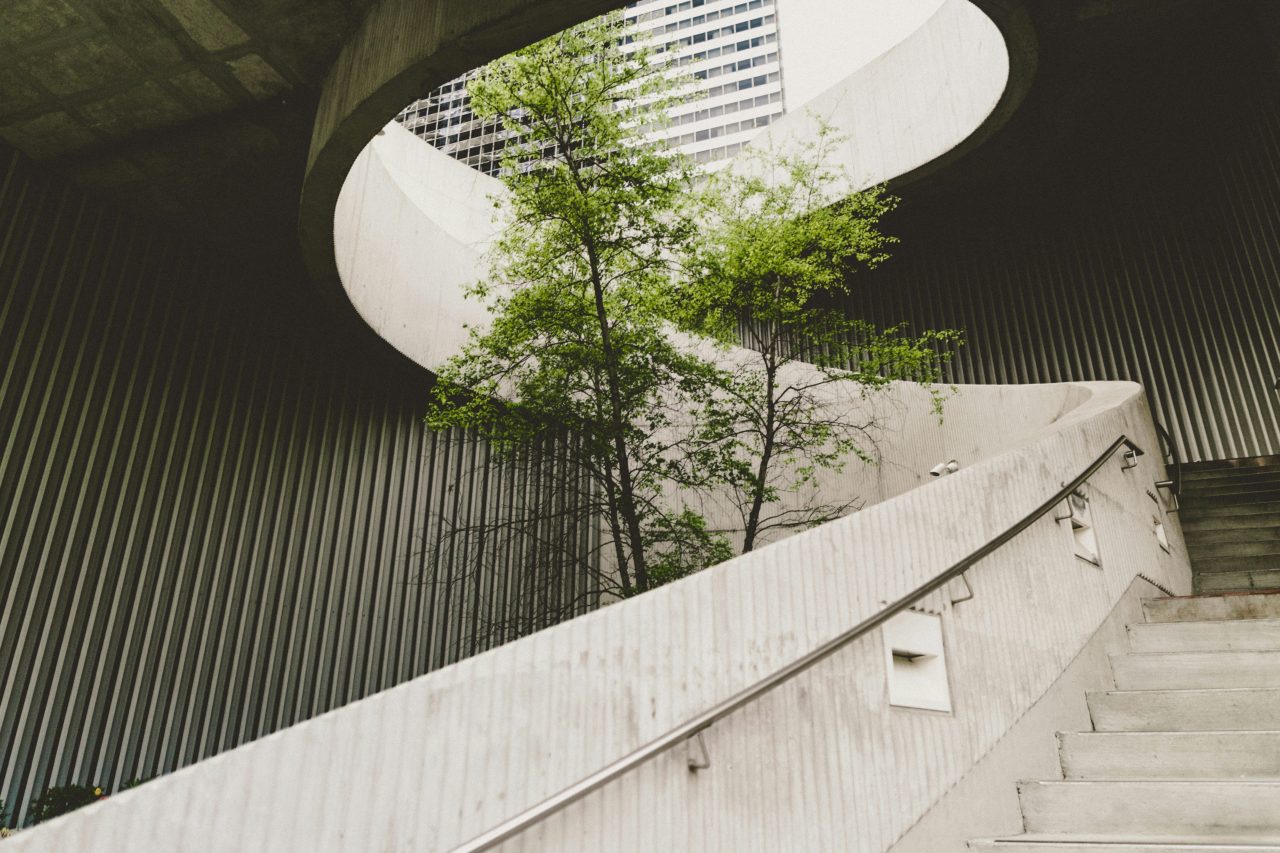 Image of concrete stairs and tree